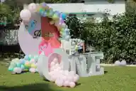 Birthday Party Organiser